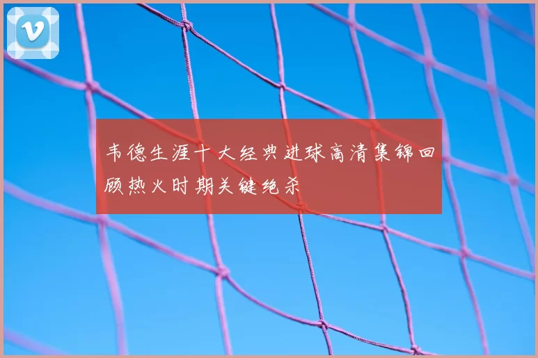 韦德生涯十大经典进球高清集锦回顾热火时期关键绝杀