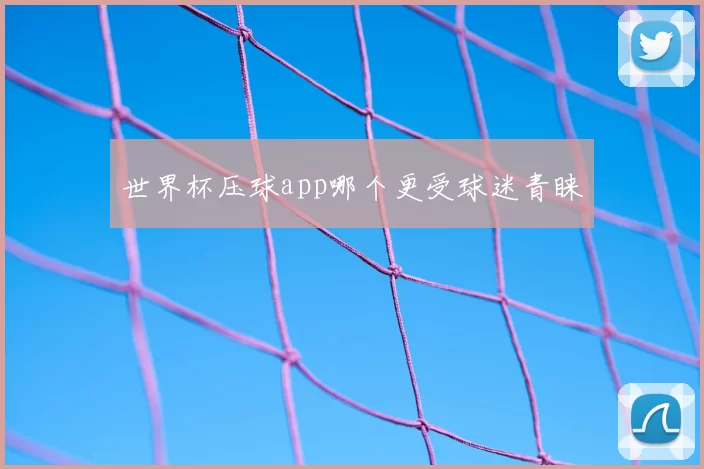 世界杯压球app哪个更受球迷青睐