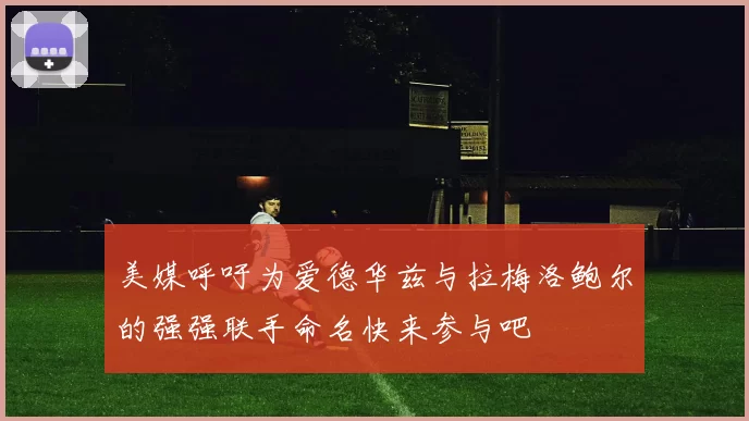 美媒呼吁为爱德华兹与拉梅洛鲍尔的强强联手命名快来参与吧