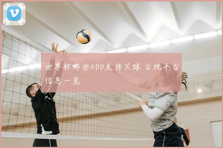 世界杯哪些app支持买球 合规平台信息一览