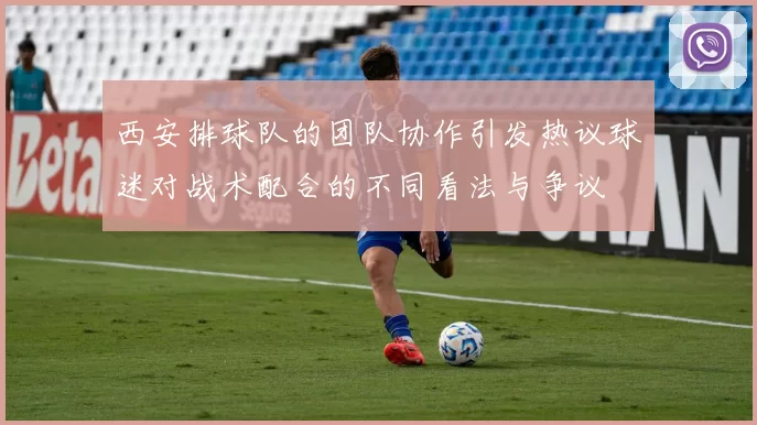 西安排球队的团队协作引发热议球迷对战术配合的不同看法与争议
