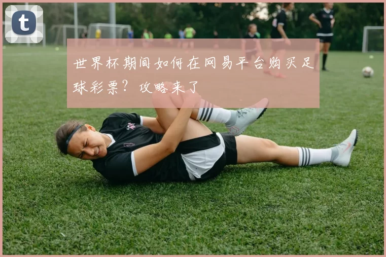 世界杯期间如何在网易平台购买足球彩票?攻略来了