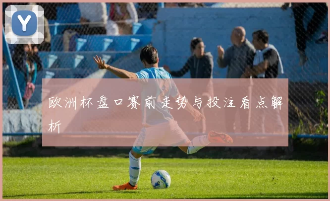 欧洲杯盘口赛前走势与投注看点解析