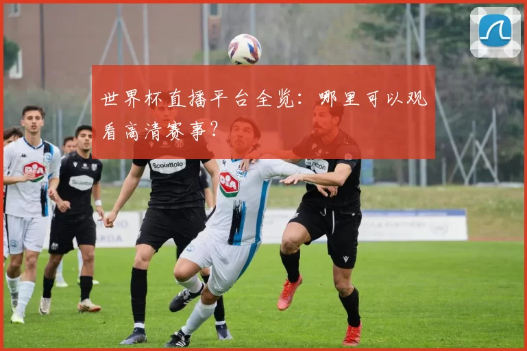 世界杯直播平台全览:哪里可以观看高清赛事?