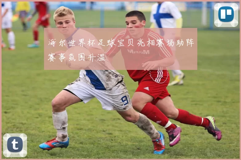海尔世界杯足球宝贝亮相赛场助阵赛事氛围升温