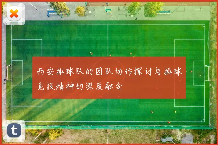 西安排球队的团队协作探讨与排球竞技精神的深度融合