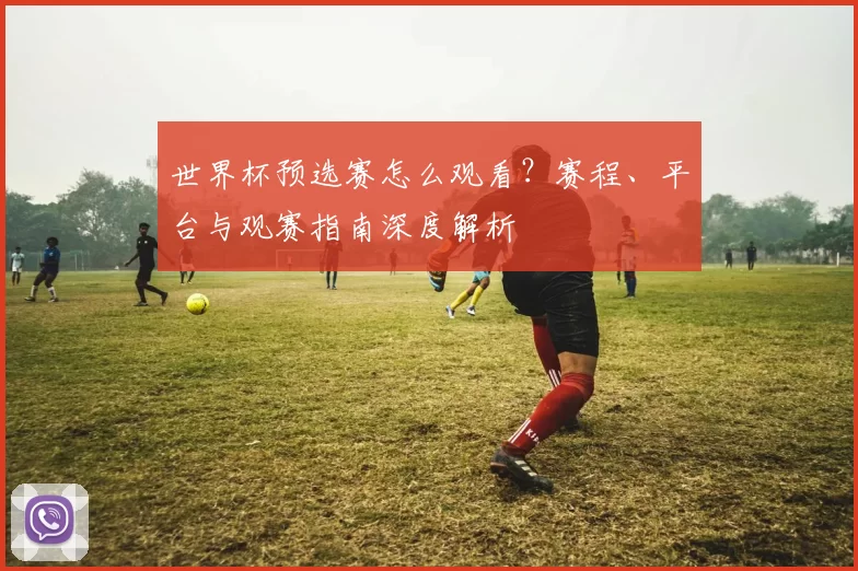 世界杯预选赛怎么观看？赛程、平台与观赛指南深度解析