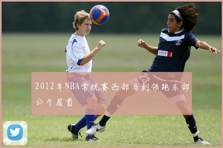 2012年NBA常规赛西部马刺领跑东部公牛居首