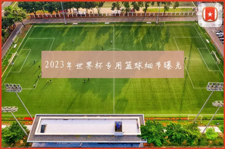 2023年世界杯专用篮球细节曝光